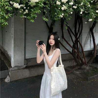 送赞雪橇犬