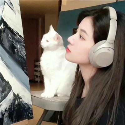 寂静的朋友